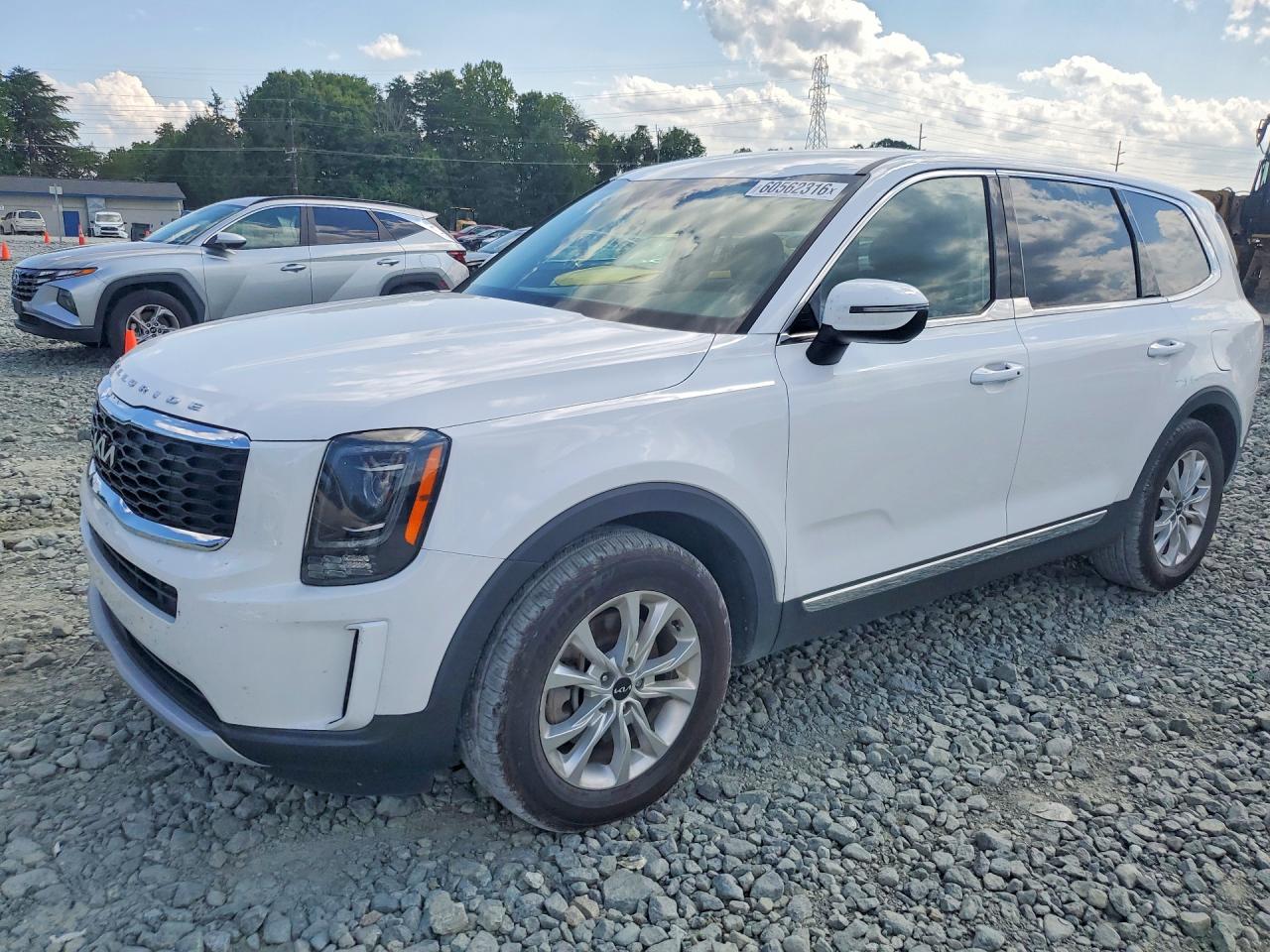 2022 Kia Telluride LX, VIN 5XYP24HCXNG324122 — Rear end