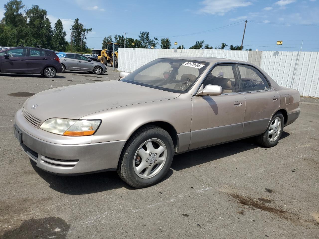 1994 Lexus ES 300, VIN JT8GK13T3R0071306 — Minor dents and scratches