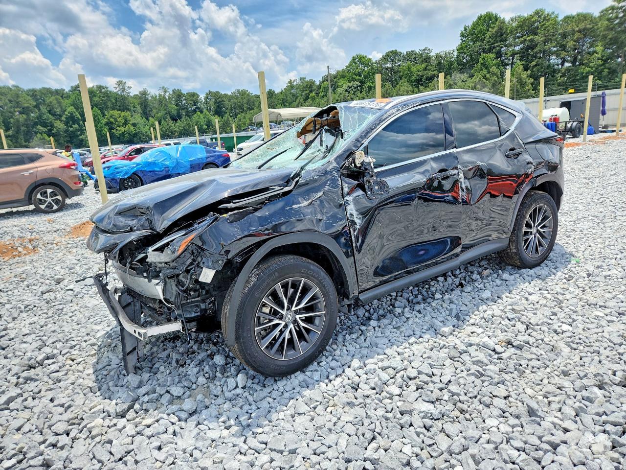 2024 Lexus NX 250 Premium, VIN 2T2GDCAZ9RC013524 — All over