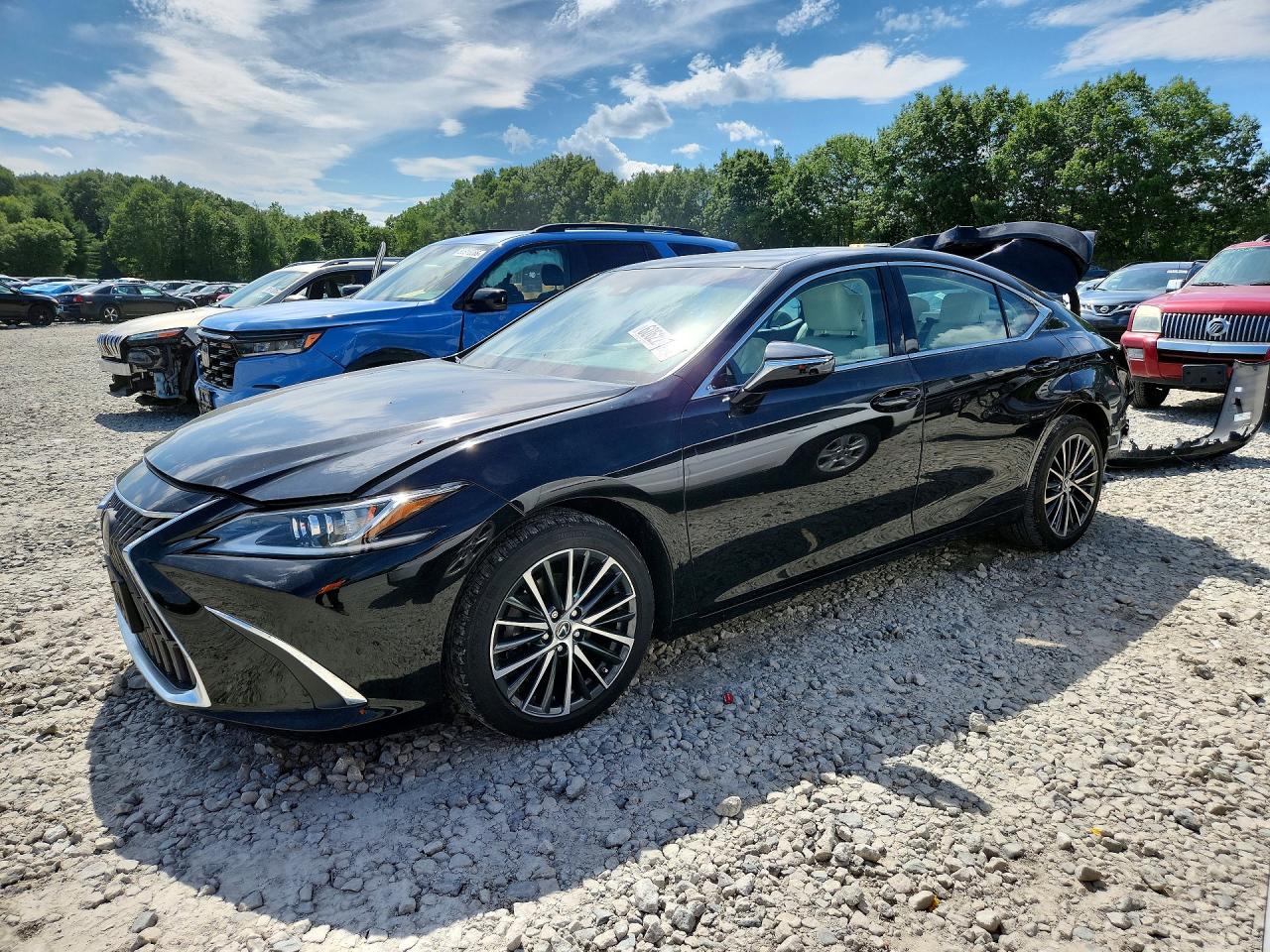 2022 Lexus ES 250, VIN 58AD11D16NU009202 — Rear end