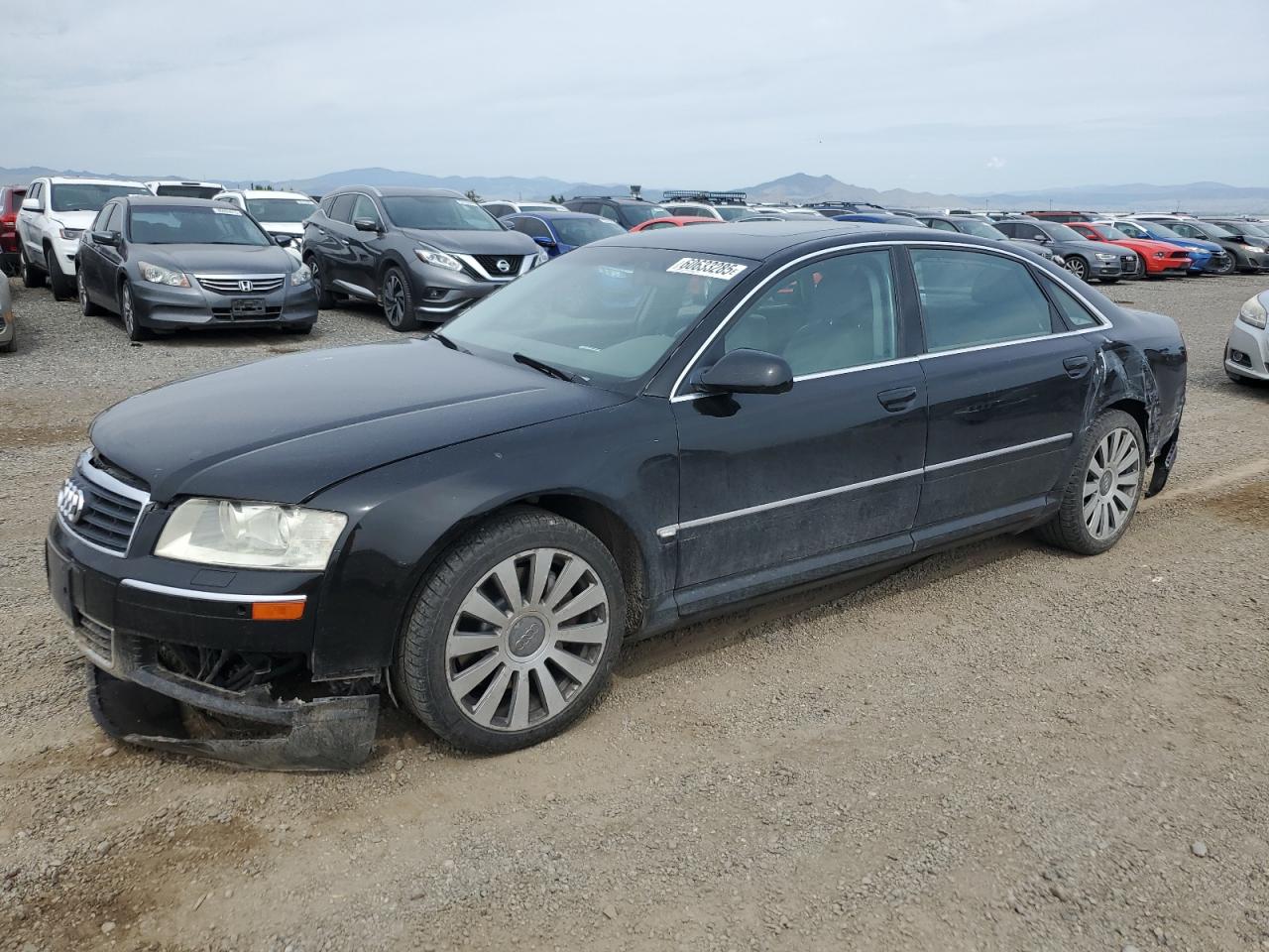 2004 Audi A8, VIN WAUML44E14N009317 — All over