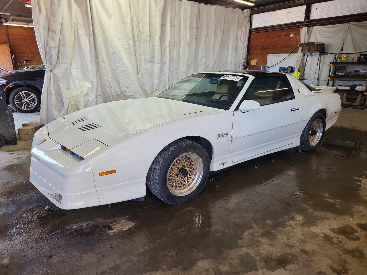 1989 Pontiac Firebird, VIN 1G5FW2176KL243126 — Water / flood
