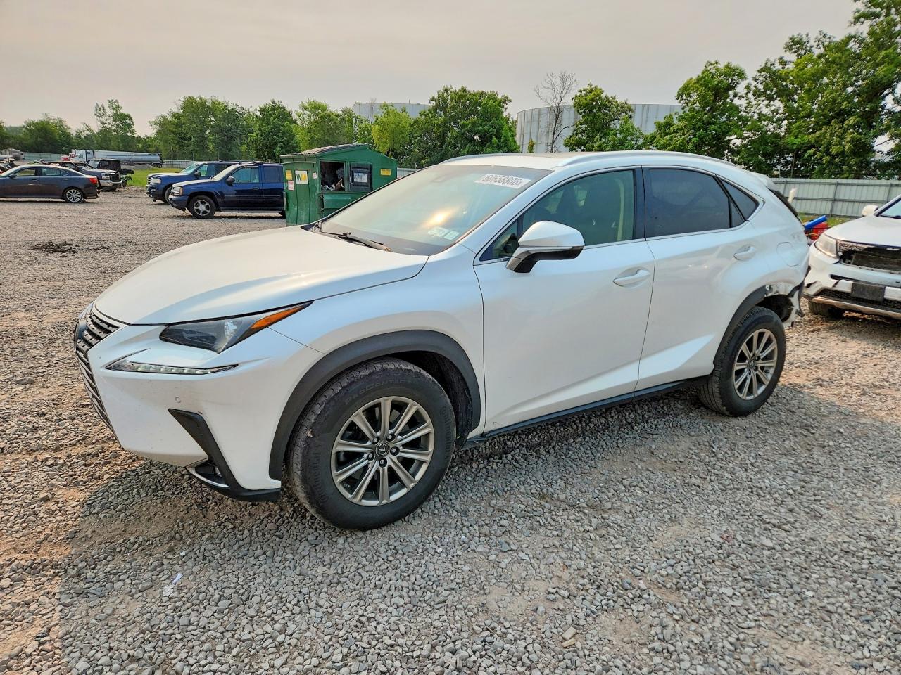 2019 Lexus NX 300, VIN JTJBARBZXK2210163 — Rear end