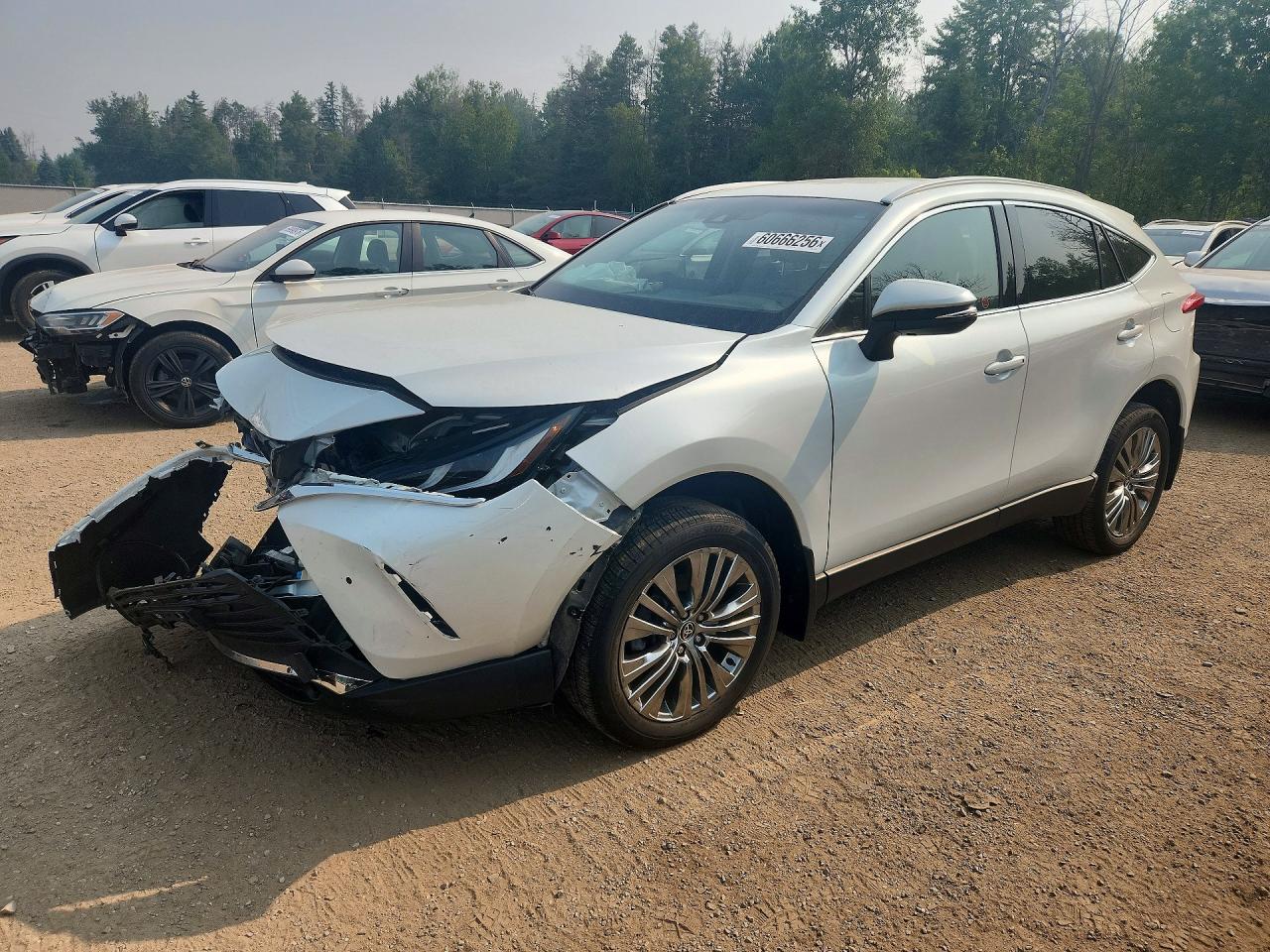 2024 Toyota Venza XLE, VIN JTEAAAAH5RJ178100 — Front end