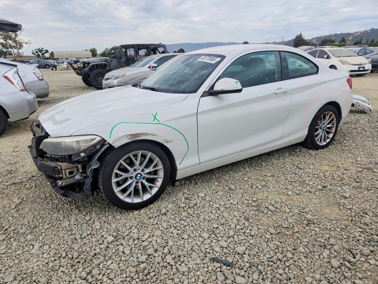 2014 BMW 2 Series 228i, VIN WBA1F5C54EV255443 — Front end