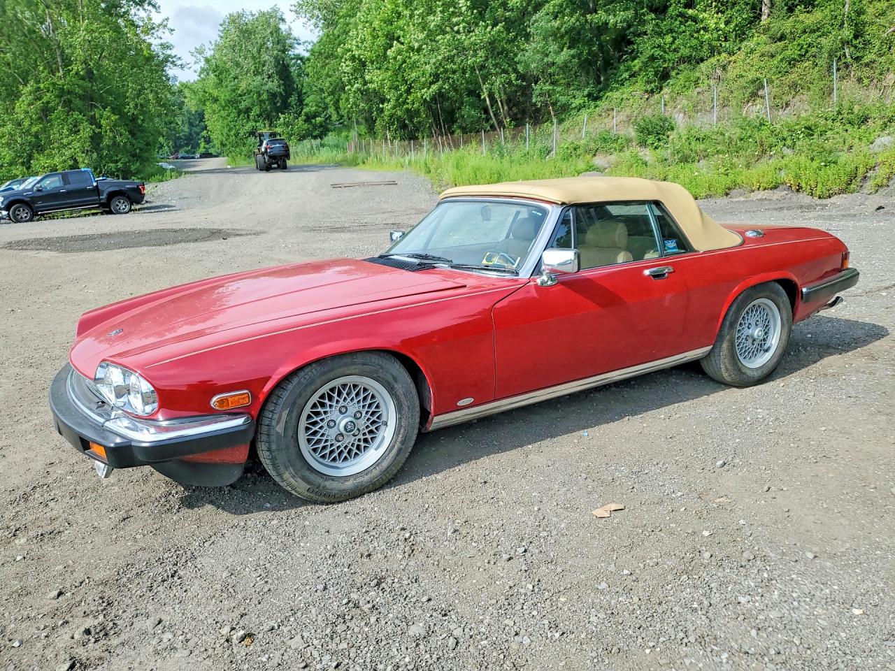 1988 Jaguar XJS, VIN SAJNV5845JC146570 — Зад
