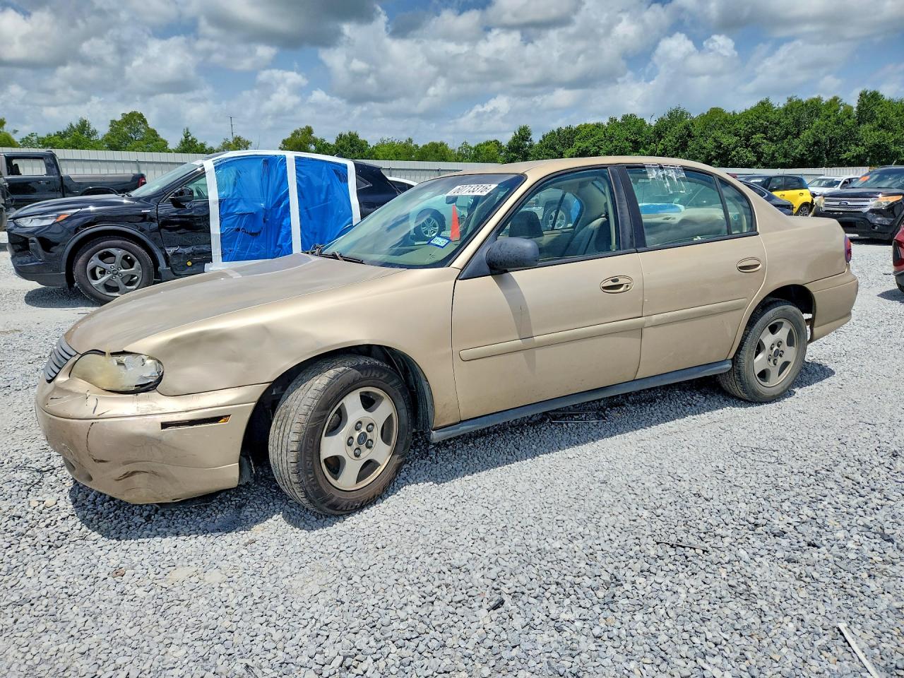 2005 Chevrolet Malibu Classic, VIN 1G1ND52F45M203362 — Перед