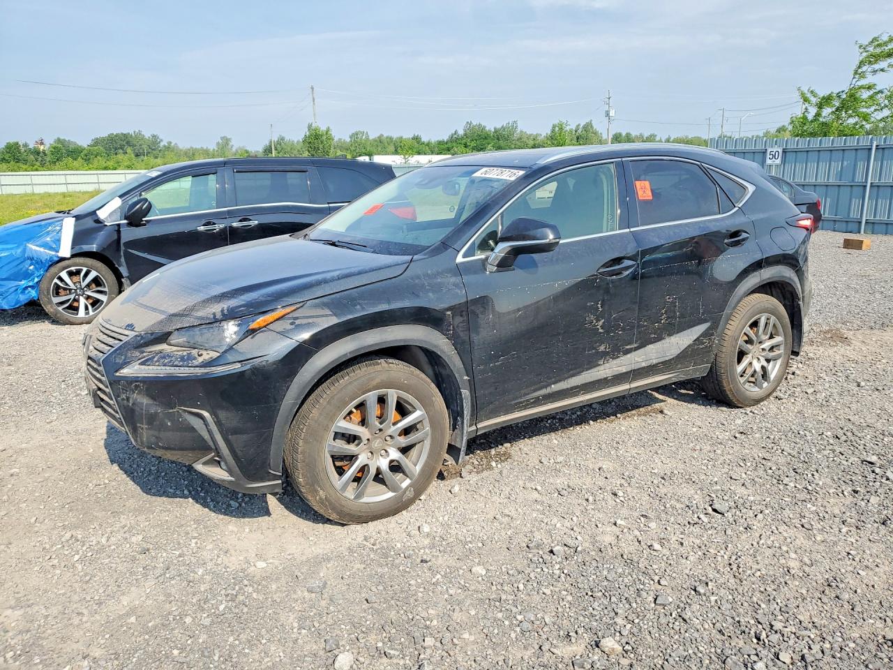 2019 Lexus NX 300, VIN JTJBARBZ1K2209029 — Water / flood