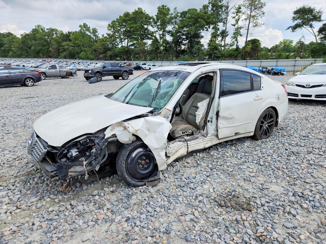2004 Nissan Maxima SL, VIN 1N4BA41E54C883286 — Бок