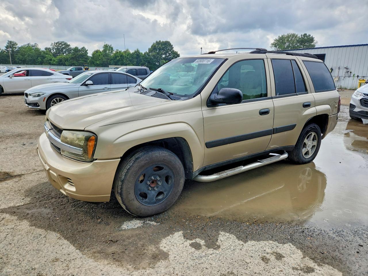 2005 Chevrolet TrailBlazer LS, VIN 1GNDS13S852175369 — Side