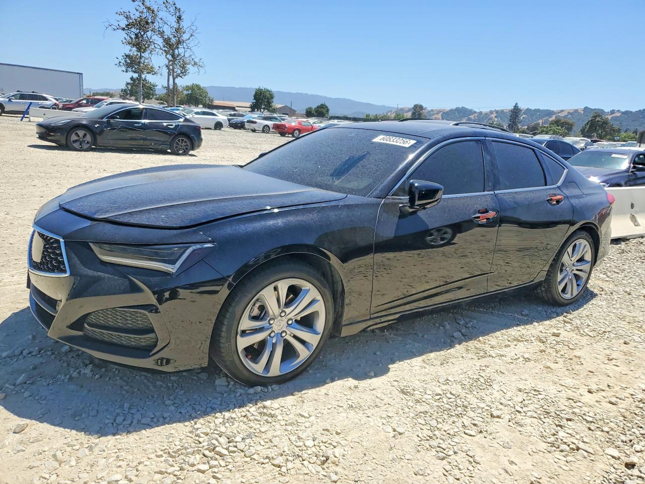 2023 Acura TLX Technology, VIN 19UUB5F41PA004874 — Vandalism