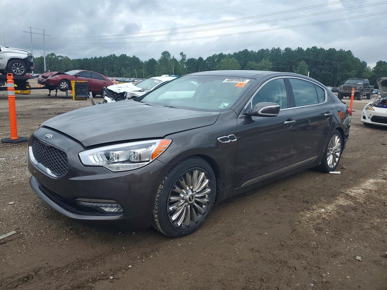 2015 Kia K900 Luxury, VIN KNALW4D41F6018526 — Rear end