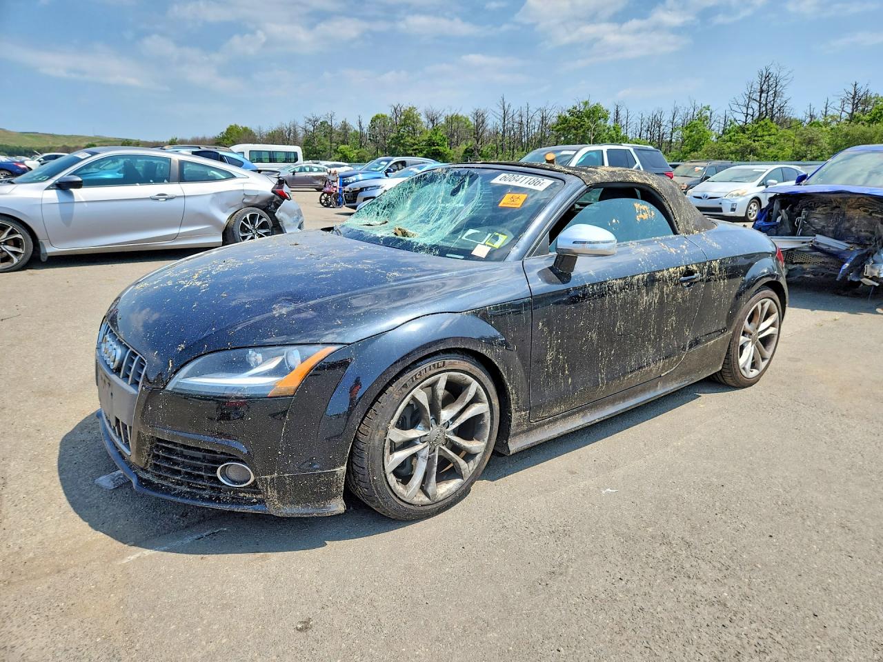 2009 Audi TTS Prestige, VIN TRUWF38J291023848 — Roof