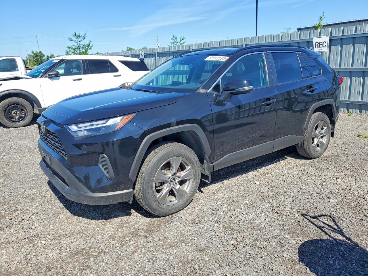 2024 Toyota RAV4 XLE, VIN 2T3R1RFV4RC443953 — Water / flood