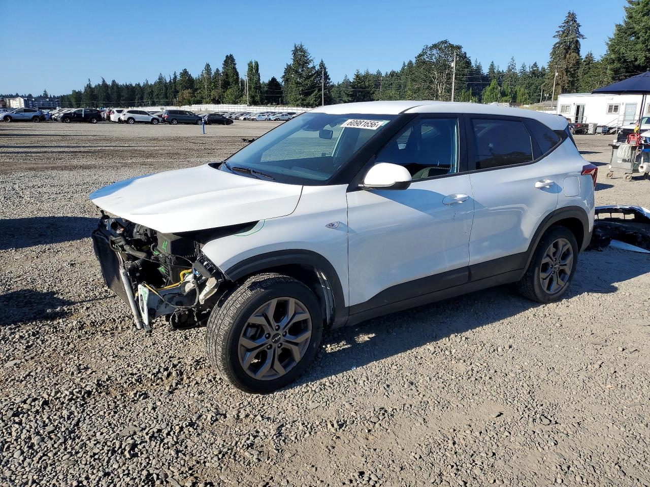 2024 Kia Seltos LX, VIN KNDEPCAA1R7539029 — Front end