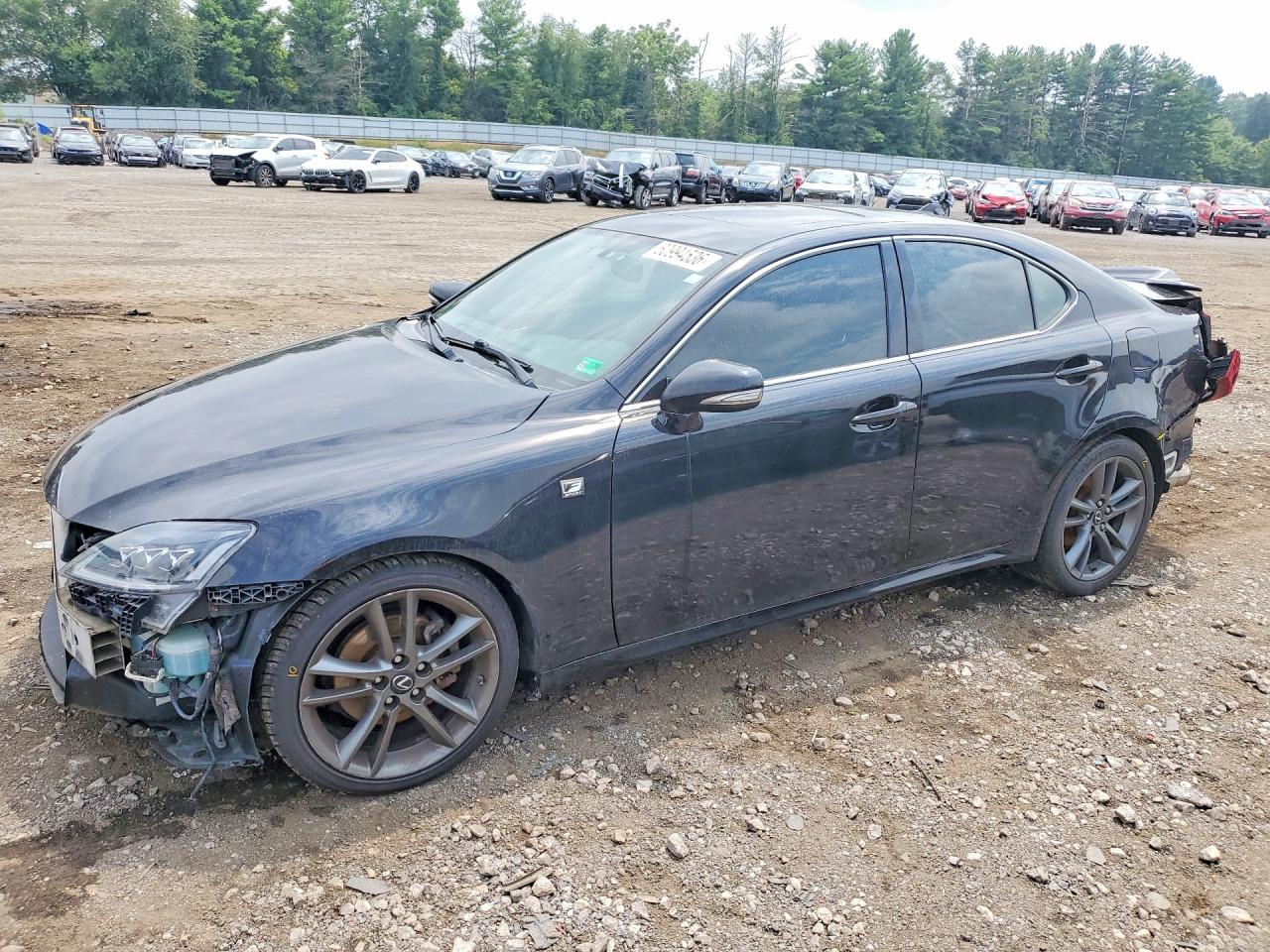 2011 Lexus IS 250, VIN JTHBF5C20B5134609 — Зад