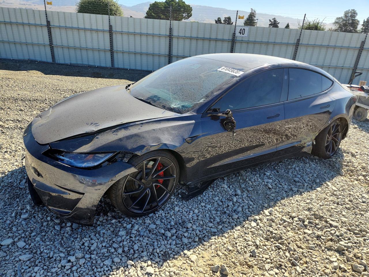 2024 Tesla Model 3 Performance, VIN 5YJ3E1ET7RF810599 — Перед