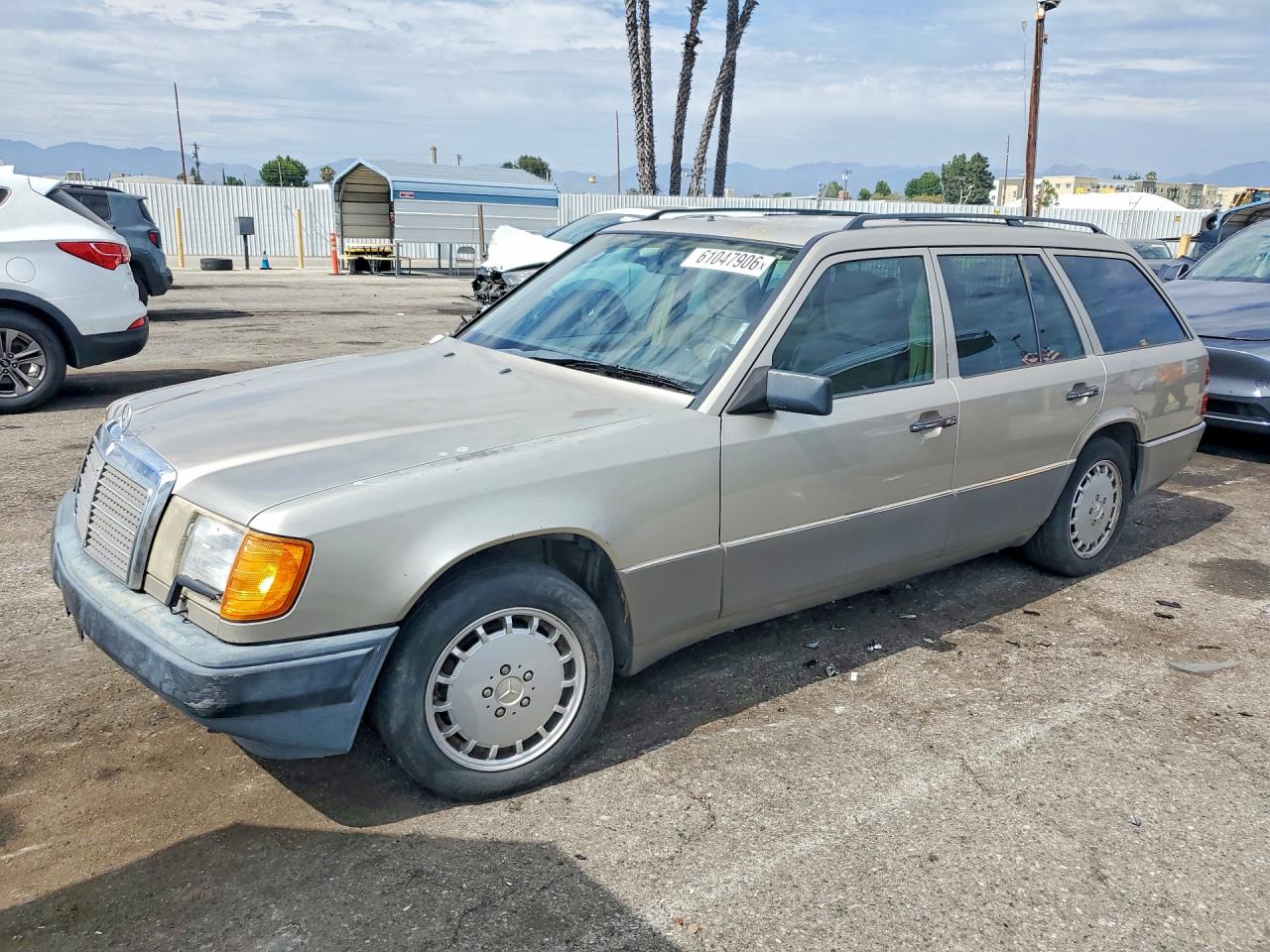 1992 Mercedes-Benz 300, VIN WDBED90E2NF196598 — Rear end
