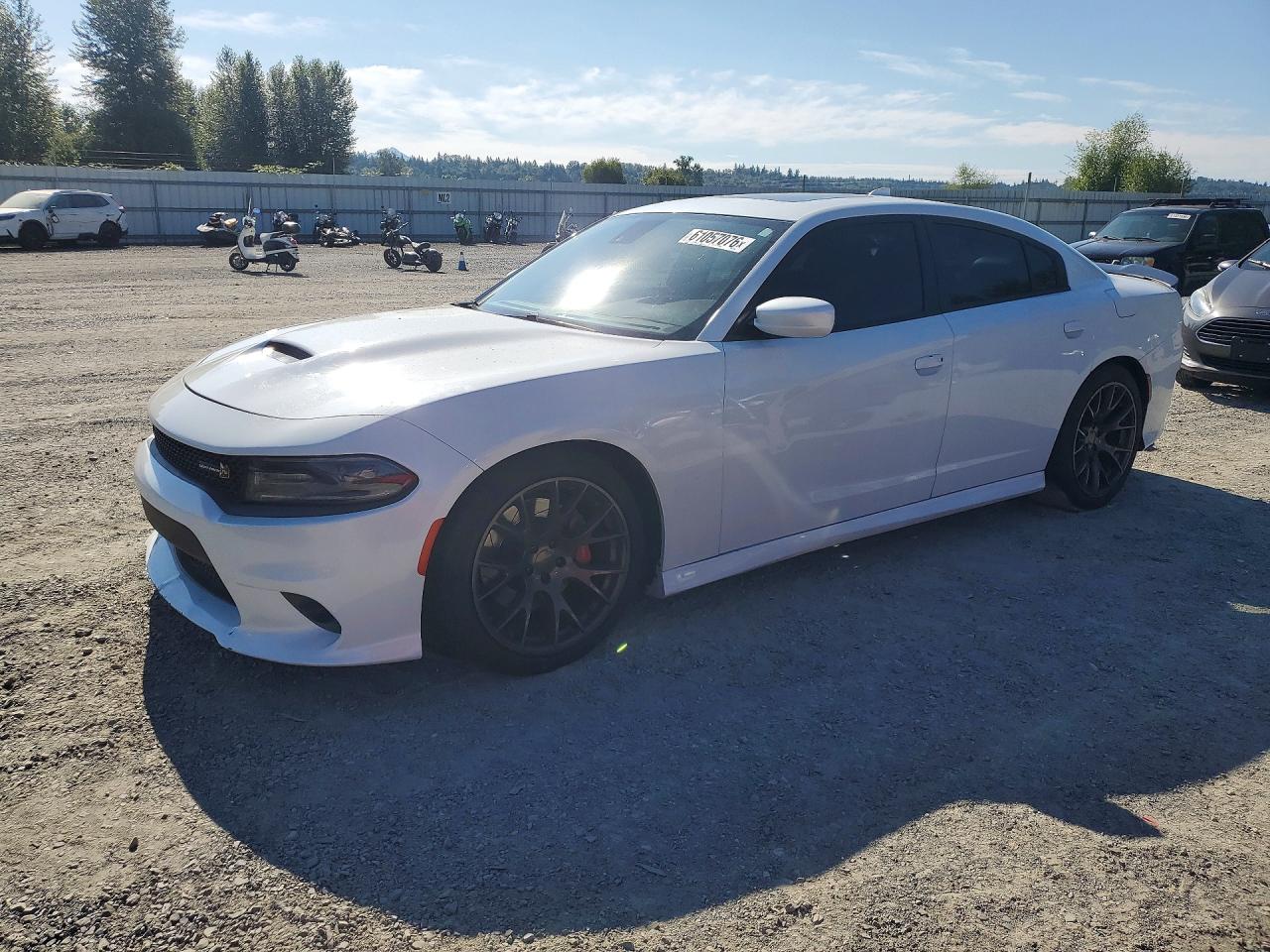 2016 Dodge Charger R/T Scat Pack, VIN 2C3CDXGJ0GH138852 — Мелкие вмятины и царапины