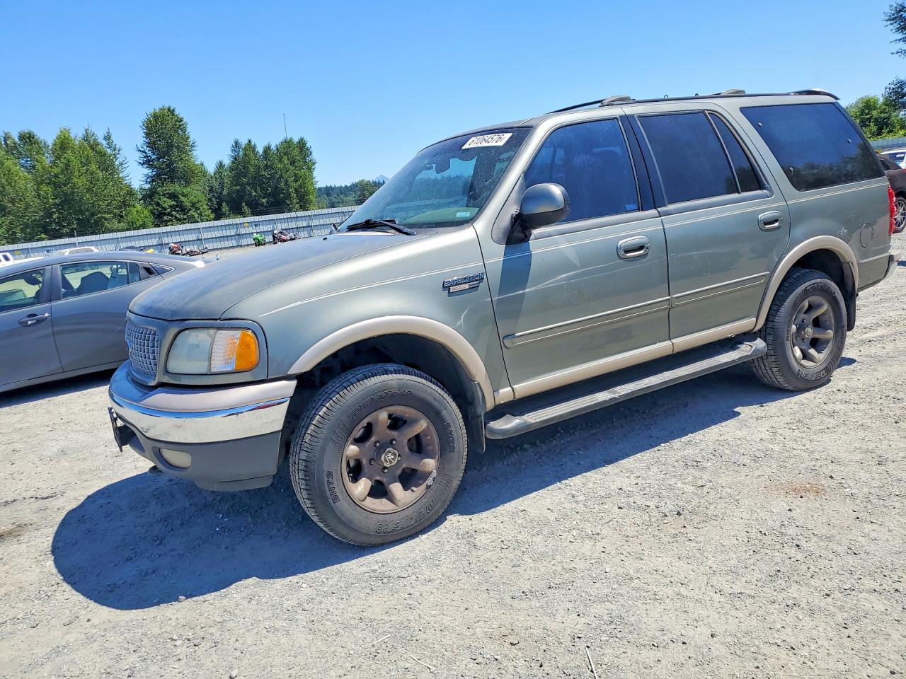 1999 Ford Expedition XLT, VIN 1FMPU18LXXLC28485 — Minor dents and scratches