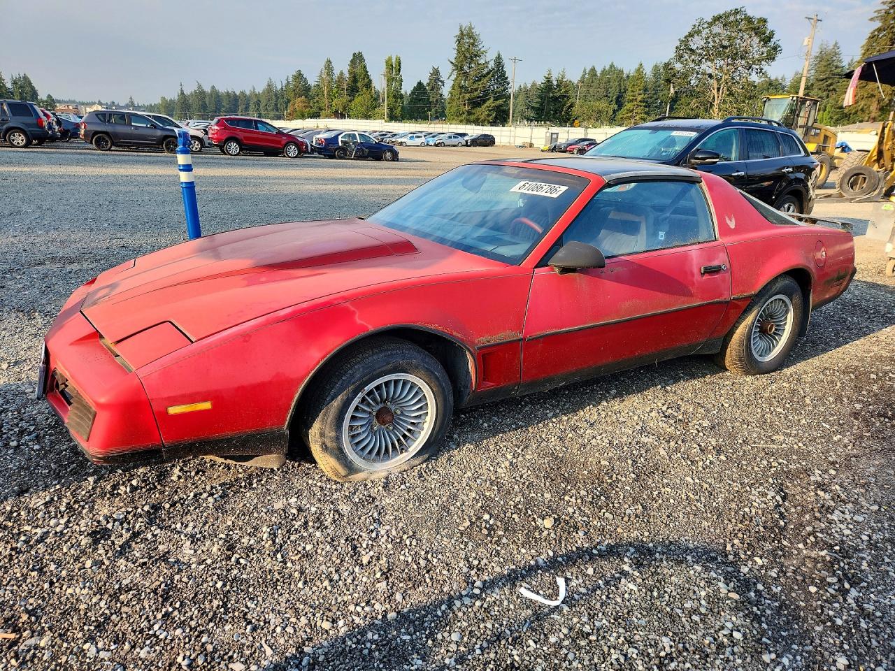 1982 Pontiac Firebird, VIN 1G2AW8779CL558084 — Minor dents and scratches
