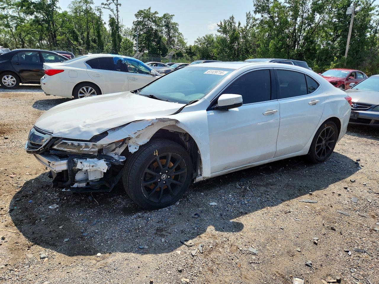 2015 Acura TLX V6, VIN 19UUB2F39FA017926 — Front end