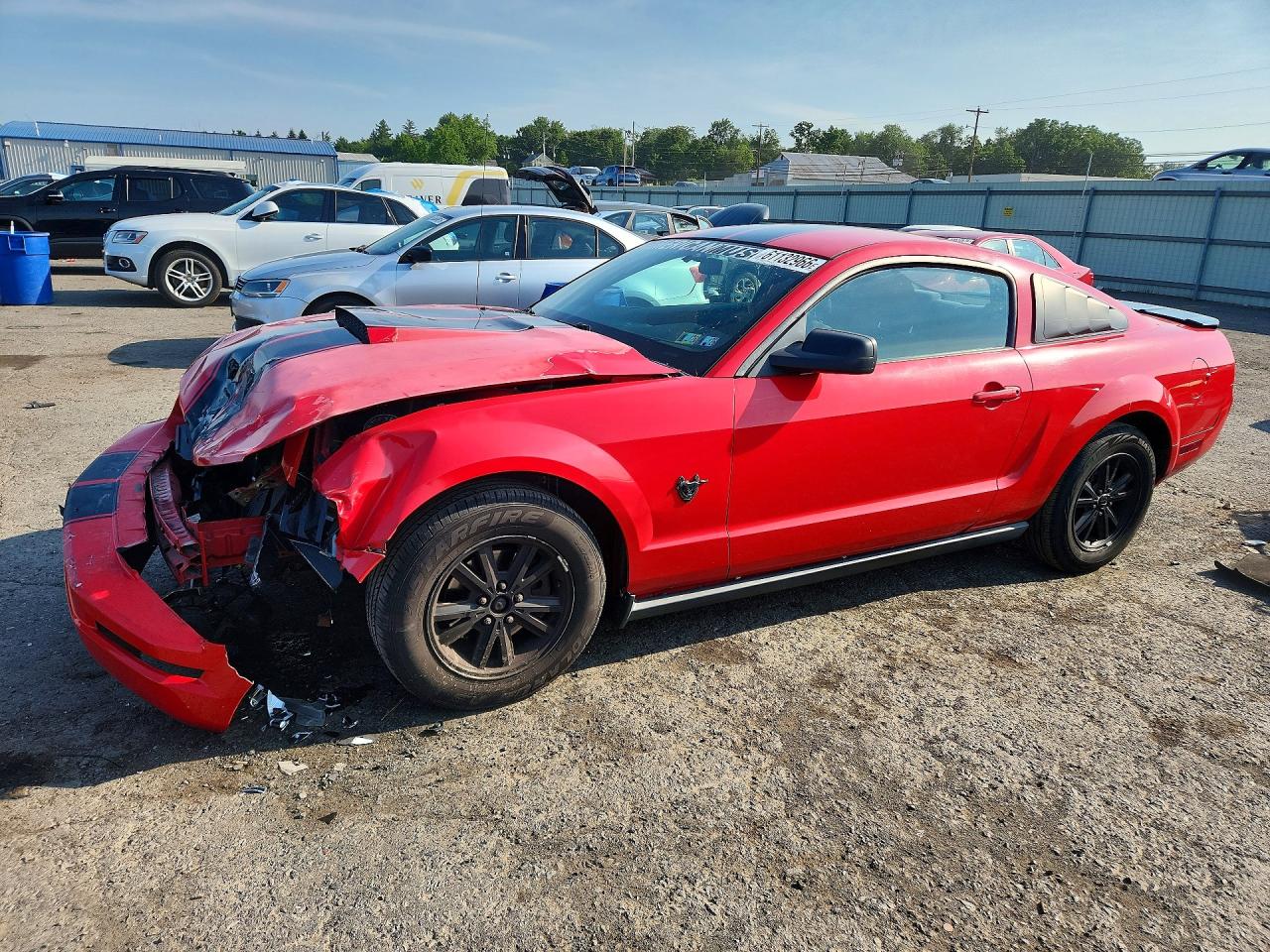 2009 Ford Mustang, VIN 1ZVHT80N595141714 — Front end