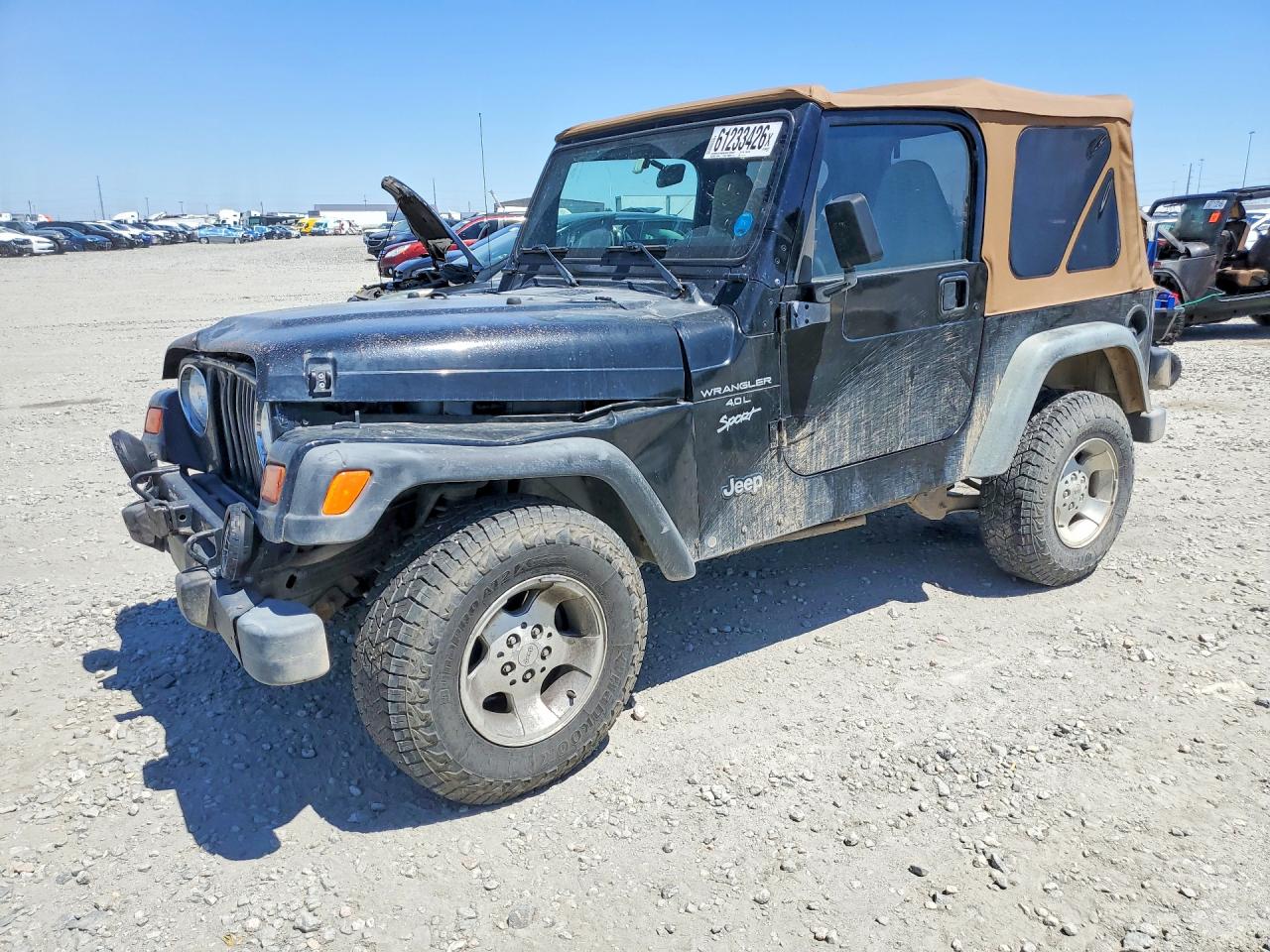 1999 Jeep Wrangler Sport, VIN 1J4FY19S9XP460945 — Front end