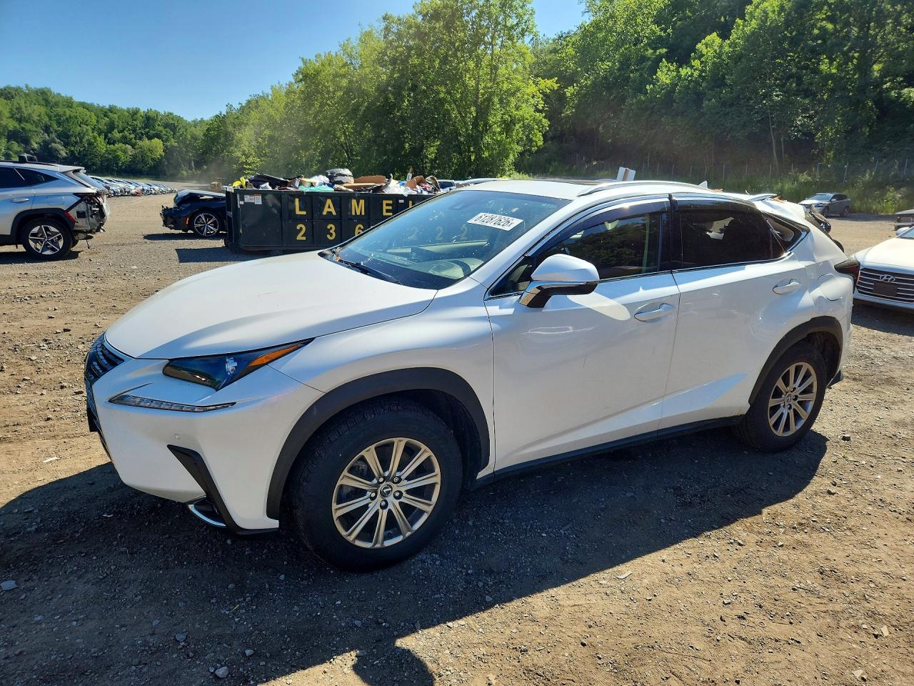 2021 Lexus NX 300, VIN JTJDARDZ4M5023573 — Roof