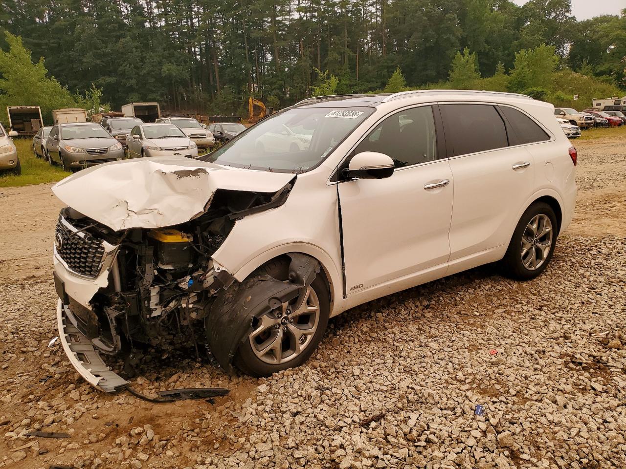 2019 Kia Sorento SX, VIN 5XYPKDA54KG524937 — Front end