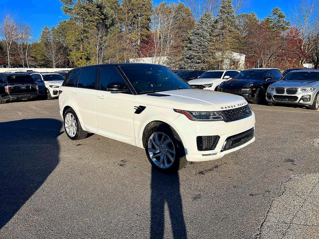2019 Land Rover Range Rover Sport Dynamic, VIN SALWR2RE6KA819563 — Minor dents and scratches