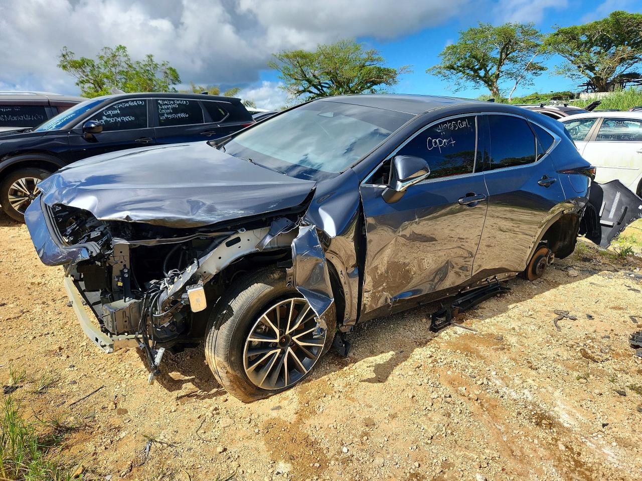 2024 Lexus NX 250 Premium, VIN JTJGDCAZ8R2010534 — Front end