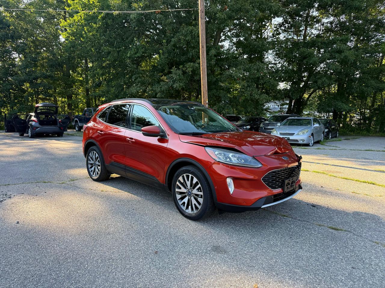 2020 Ford Escape Titanium, VIN 1FMCU9J91LUB08350 — Перед