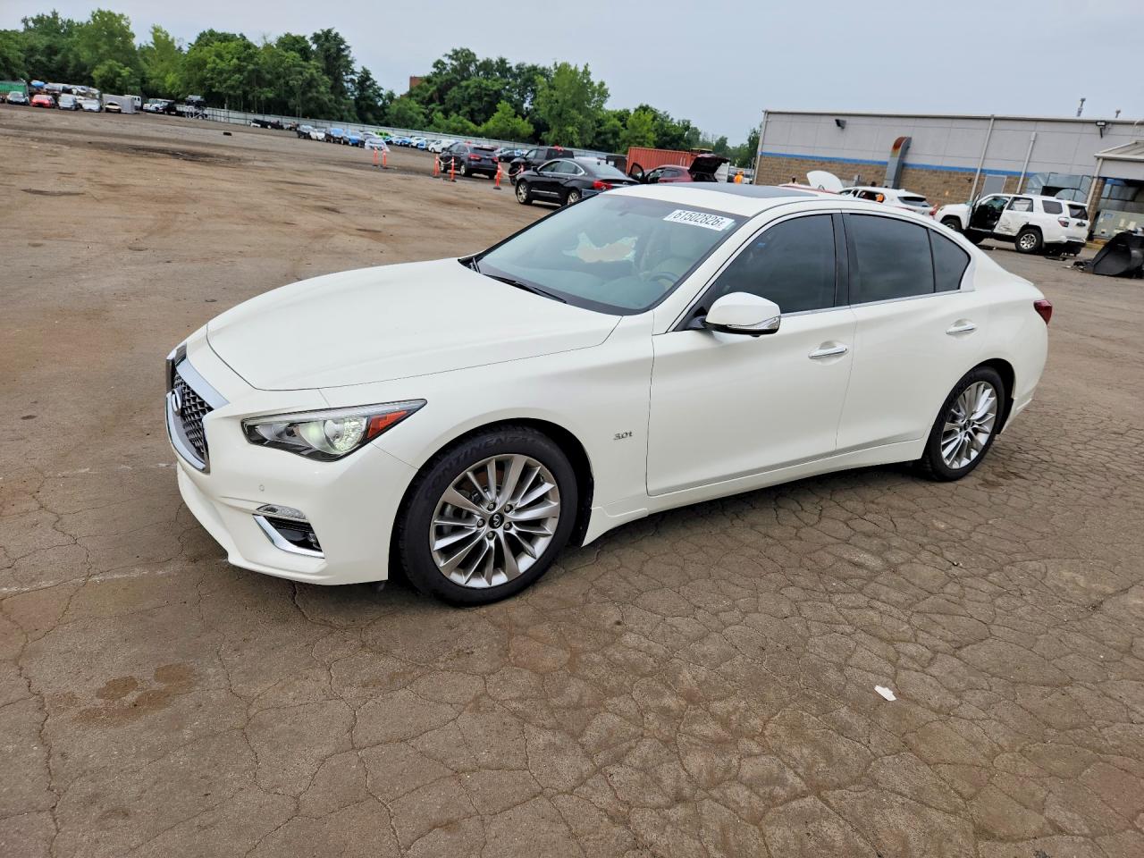 2019 Infiniti Q50 Luxe, VIN JN1EV7AR5KM556493 — Side