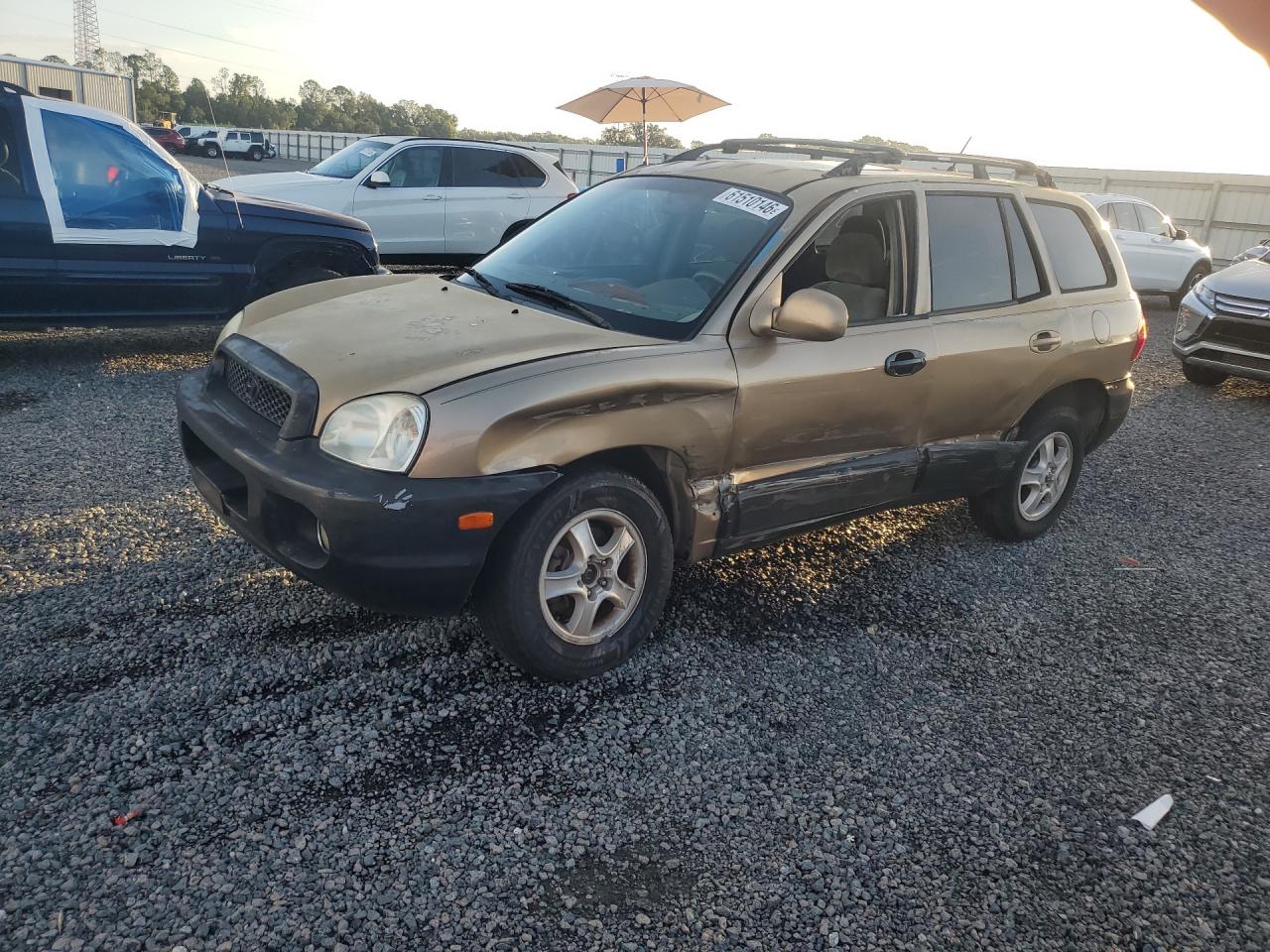 2004 Hyundai Santa Fe GLS, VIN KM8SC13D44U842807 — Side