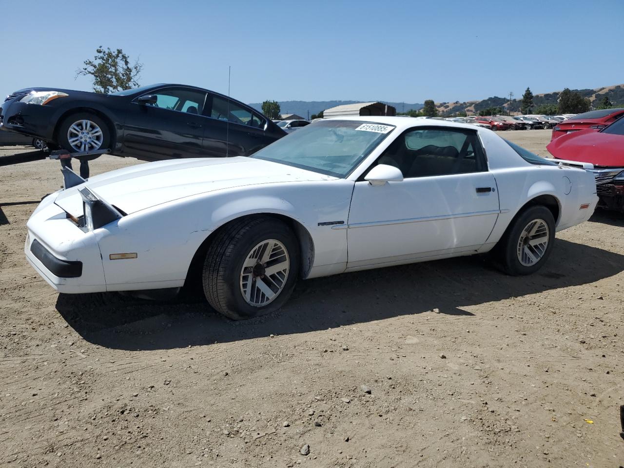 1988 Pontiac Firebird, VIN 1G2FS21S0JL233378 — Minor dents and scratches