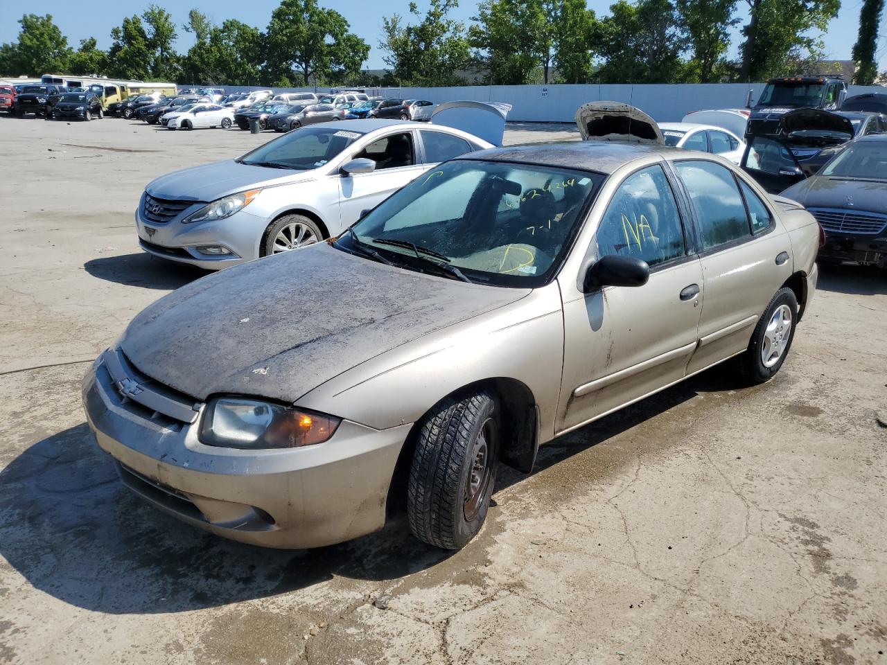 2003 Chevrolet Cavalier, VIN 1G1JC52F937269726 — Rear end