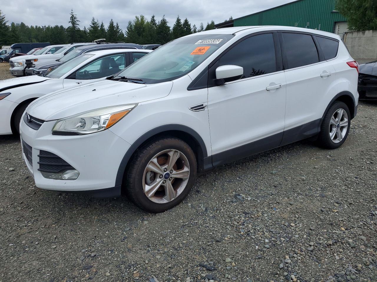 2016 Ford Escape SE, VIN 1FMCU0G74GUC00401 — Biohazard / chemical