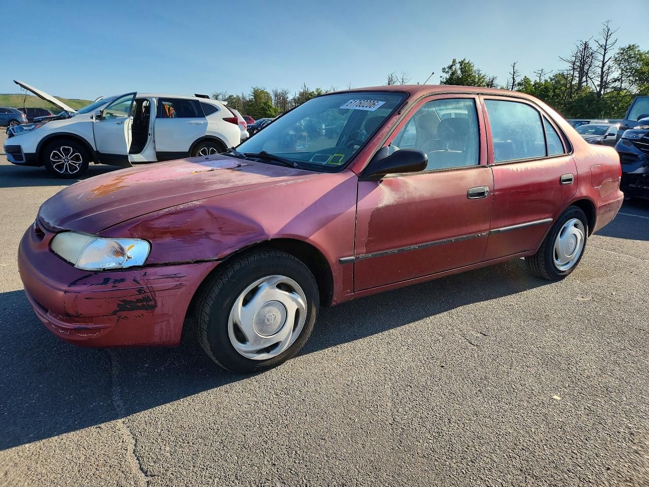 2000 Toyota Corolla CE, VIN 1NXBR12E7YZ313785 — Front end