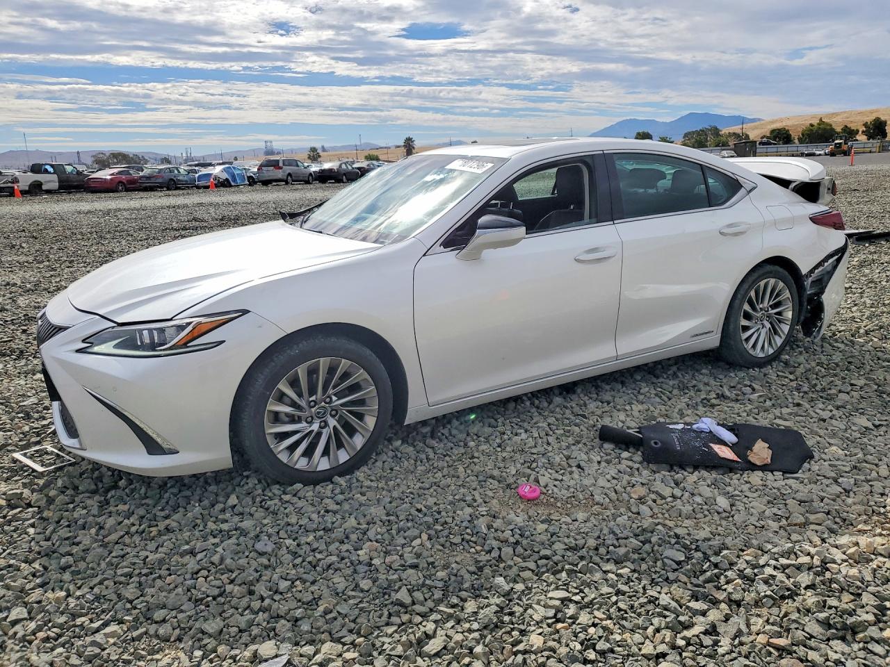 2019 Lexus ES 300h Luxury, VIN 58AB21B15KU003684 — Side