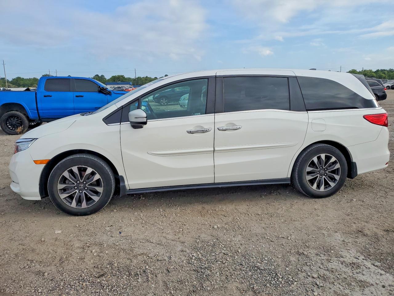 2024 Honda Odyssey EX-L, VIN 5FNRL6H6XRB007868 — Minor dents and scratches