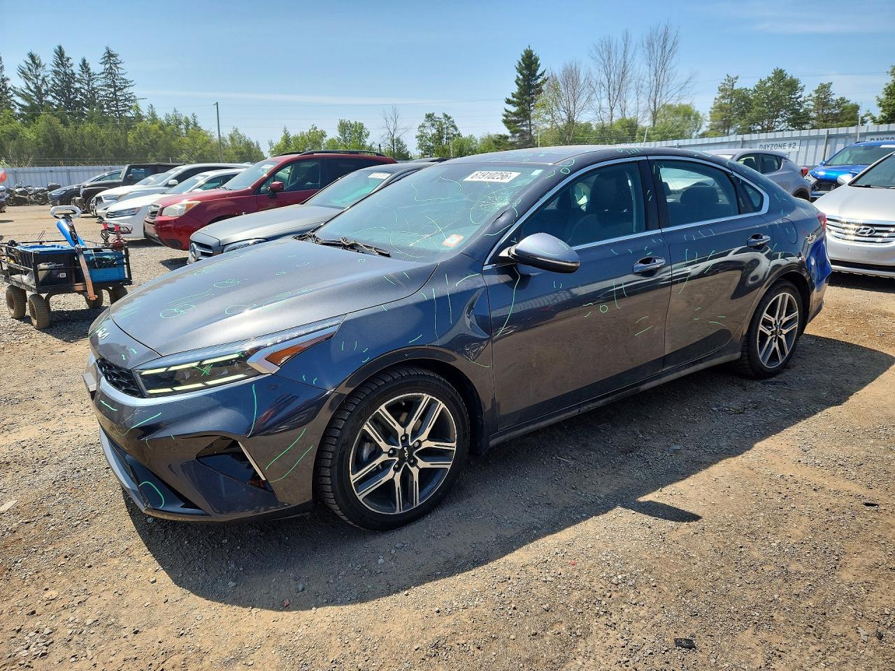 2024 Kia Forte EX, VIN 3KPF34AD2RE740132 — Крыша