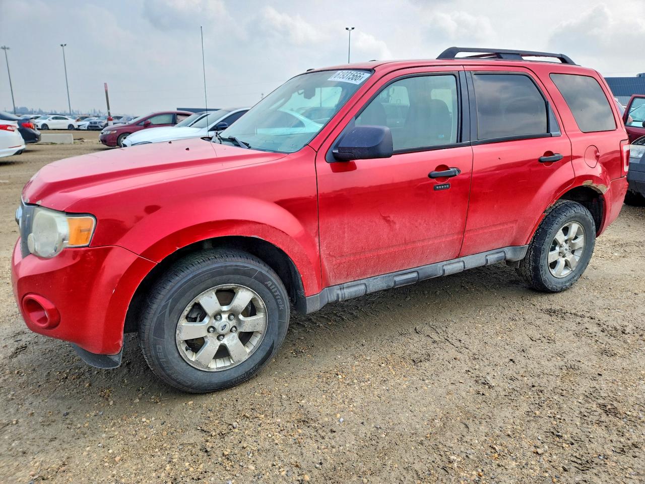 2009 Ford Escape XLT, VIN 1FMCU03769KA90696 — Front end