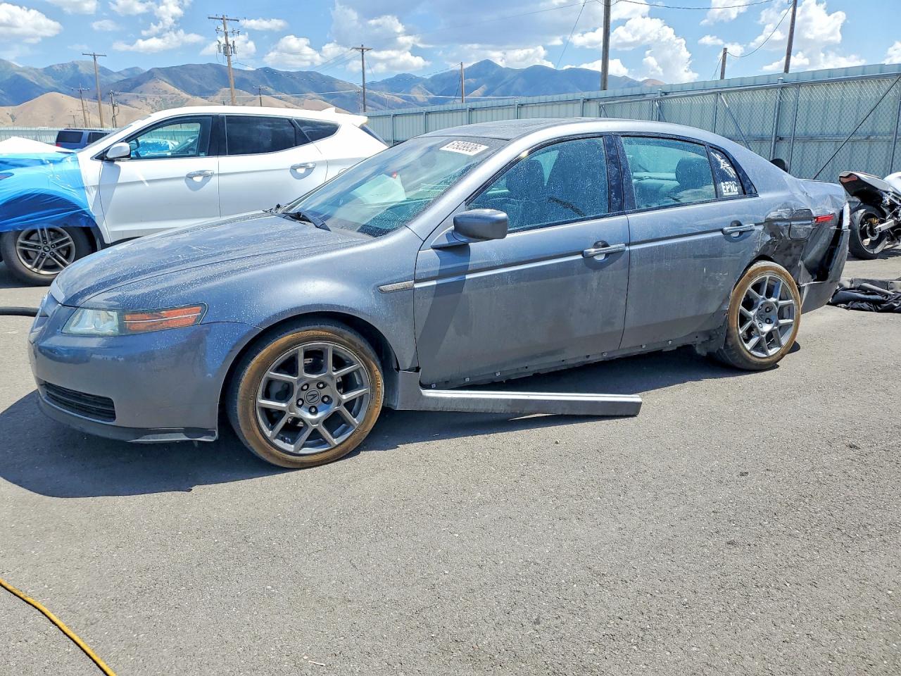 2006 Acura TL, VIN 19UUA66236A022251 — Rear end