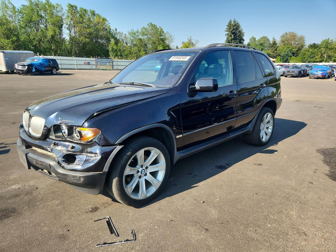 2004 BMW X5 4.4i, VIN 5UXFB53594LV08463 — Front end