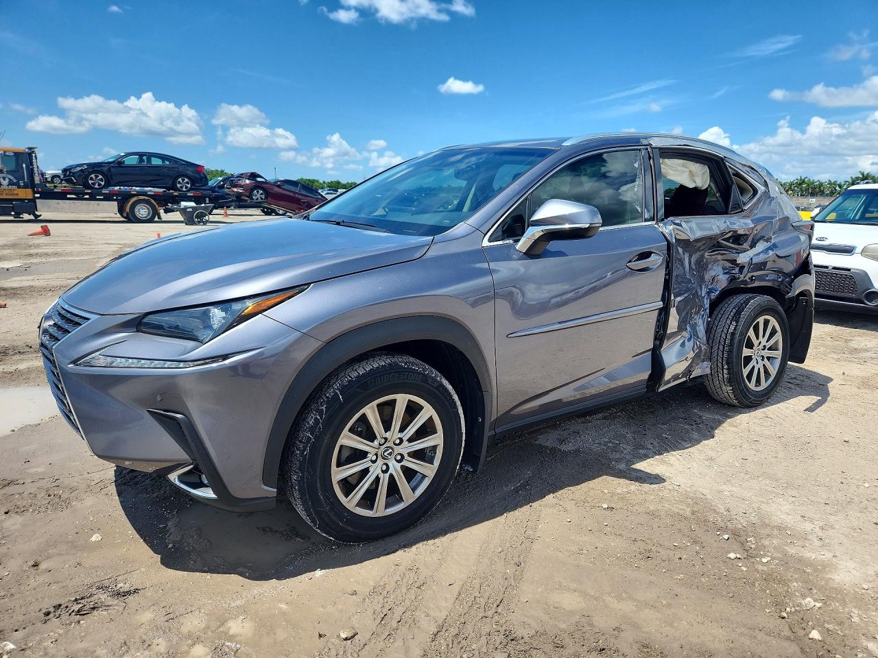 2019 Lexus NX 300, VIN JTJYARBZ7K2145816 — Side