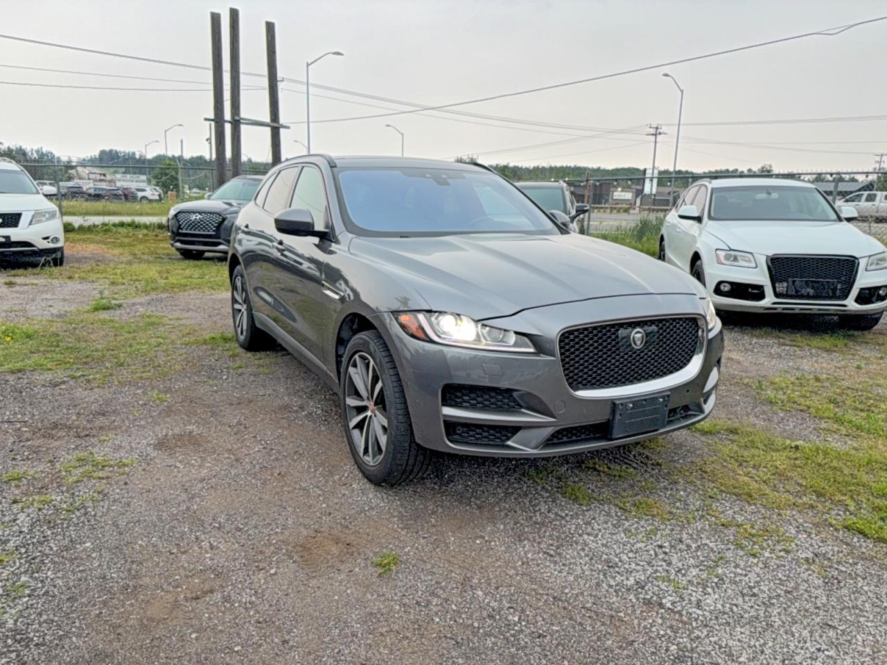 2019 Jaguar F-Pace 20d Prestige, VIN SADCK2FN4KA352120 — Minor dents and scratches