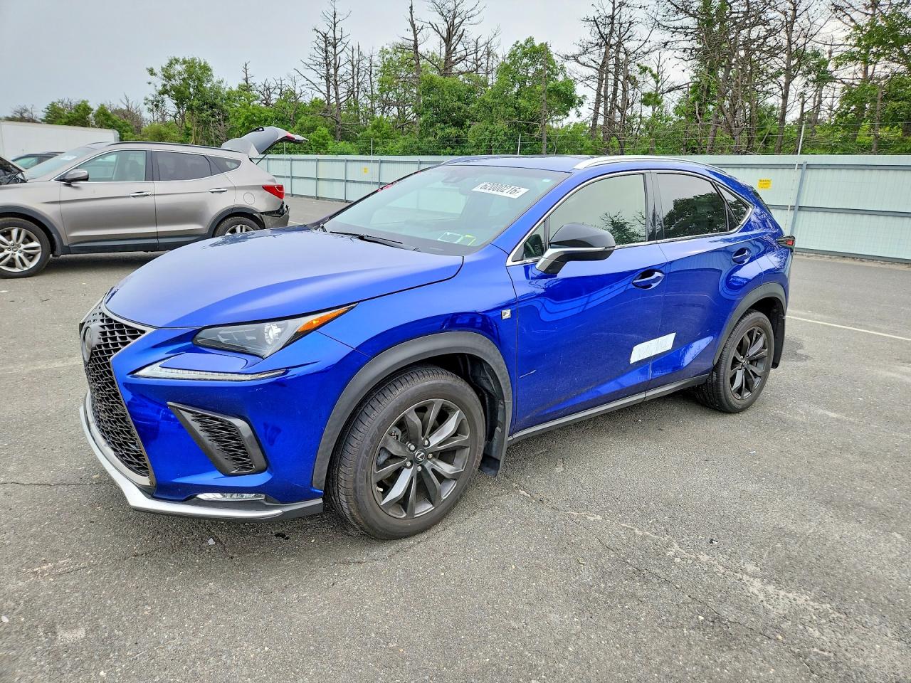 2019 Lexus NX 300 F Sport, VIN JTJYARBZ8K2129673 — Water / flood