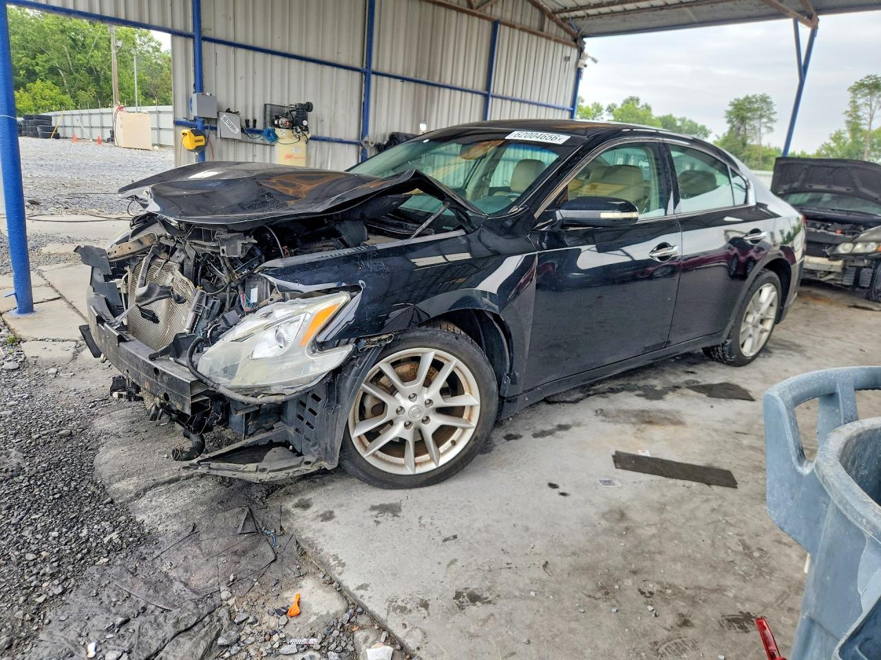 2009 Nissan Maxima SV, VIN 1N4AA51E29C834619 — Перед