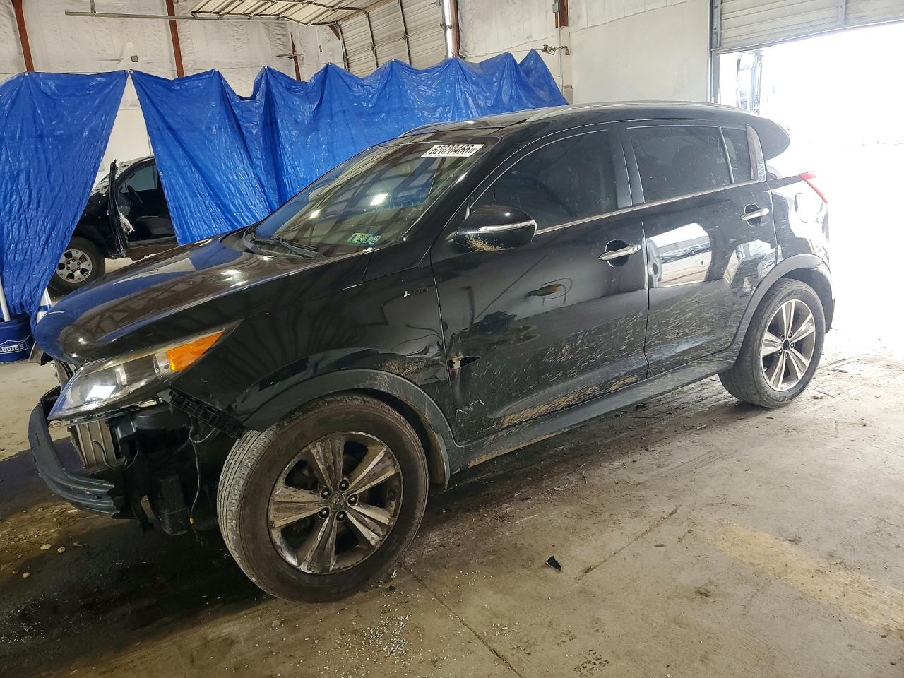 2014 Kia Sportage SX, VIN KNDPCCA69E7628275 — Перед